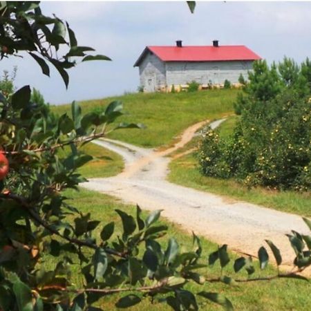 Close To Lake Blue Ridge, Hot Tub, Swing Beds Morganton Екстер'єр фото